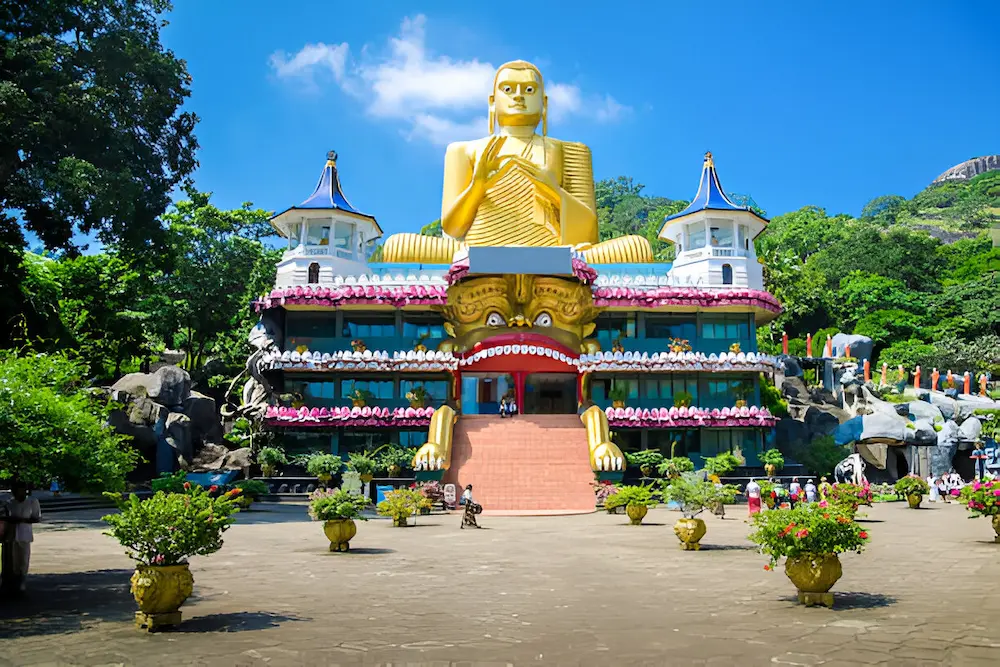 steptodown.com934990